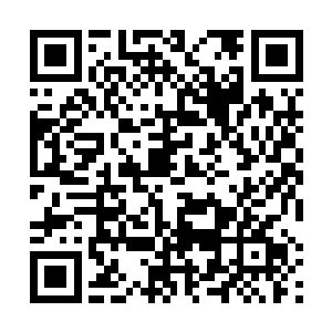 站在她身侧也能感觉到自她身上散出令人不舒服的气压二维码生成