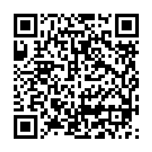 站在摊子旁素净微笑的少年人似乎看到了周佩这只二维码生成