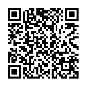 站在擂台上的木钟长老看见剑尘手中那象征着副殿主的令牌时二维码生成