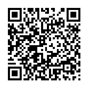 站在斯巴达身侧的那个身着金甲的男人微笑着说道二维码生成