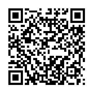 站在旁边的落风甚至觉得自己还听到了一股宠溺的语气二维码生成