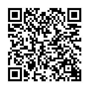 站在时间剑灵面前的一队修士的脸上就现出了紧张之色二维码生成