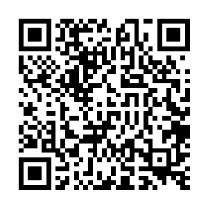 站在殿前台阶上的战平其实早就想看看苗毅会有什么反应二维码生成