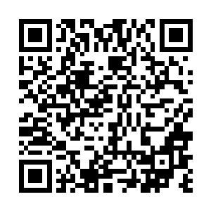 站在离围墙最近的那些人率先碰到了那些瘦小的黑猩猩二维码生成