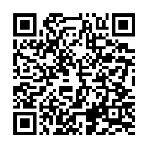 站在自己的房间外望着远处密密麻麻的黑色旋风组成的大阵二维码生成