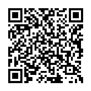 站在茅松身边的茅楚楚师父赵紫虞就飘落了擂台二维码生成