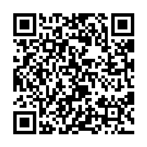 站在走廊里看热闹的那些男生们也狠狠地被吓了一跳二维码生成