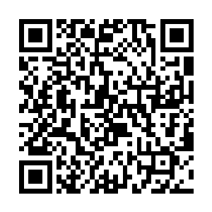 站在远处的锦衣青年似乎也察觉到了细眉青年的不妥二维码生成