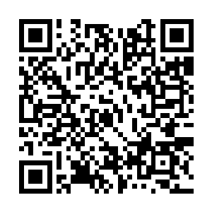 站在那张大桌子前面喋碟不休的诉着满肚子的委屈二维码生成