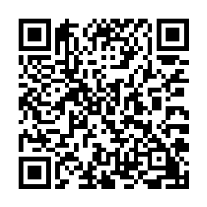 站在高处得意洋洋地冲着江少游发出一阵阵的狼嗥声二维码生成