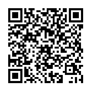 站在黄家人群前面的是两个身穿揽月峰服饰的修士二维码生成