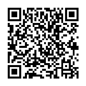 站的不远不近的看着对方仿佛都是头一次认识对方一般二维码生成