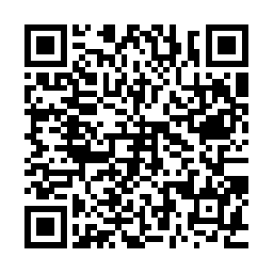 站着这么一个又老又瘦的道士应该会给人鸡立鹤群的感觉才对二维码生成