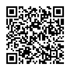 站立在原地一动不动的灵儿突然诡异的消失在原地二维码生成