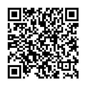 竟也不约而同的把他们的台风尾巴扫到了流墨墨和琴瑟色身上二维码生成