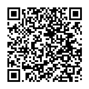 竟也像曲歌一样什么总结也说不出来……我们不是每一个选择都做对了的人二维码生成