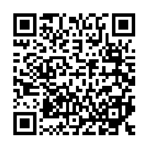 竟似乎忘了先前在猎海岛上的教训和须弥宗修士吃亏在后的事情二维码生成