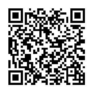 竟似乎是打通了他的体内的一处关键的筋脉要塞处二维码生成