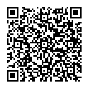 竟意外的让他在那个小奶娃的身上把脉把出了九年前不翼而飞的那颗禁药所残留的一些药素二维码生成