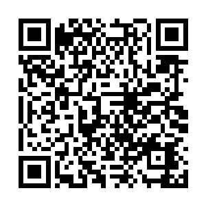 竟是一条长达将近二十丈长的巨型鳄蛟妖兽的妖躯二维码生成