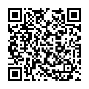 竟是一直深陷在自己编织的美好环境之中不愿清醒二维码生成