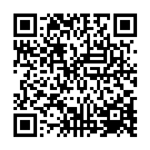 竟是一粒比那些红色的极品仙晶还要小上很多的紫色晶石~二维码生成