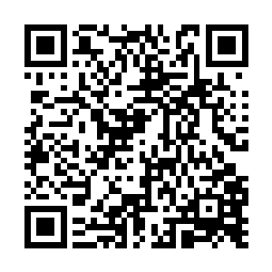 竟是从苏林右手上炸出来了一头雷光电闪的大狮子二维码生成