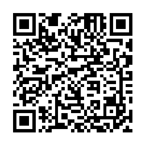 竟是令的整个须弥洞天世界三大宗派和无数大小海岛势力二维码生成