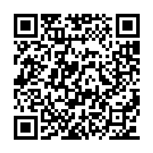 竟是刷的突然出现了十多名穿着嫩绿衣裙的少女二维码生成