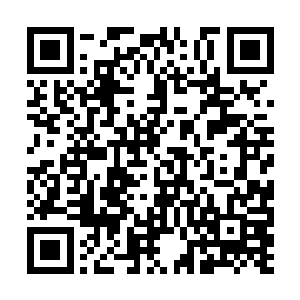 竟是只能眼睁睁地看着又一名妖王被众人围殴致死二维码生成
