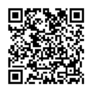 竟是在血幽紫扑击过来的时候右手猛的一拍身旁二维码生成