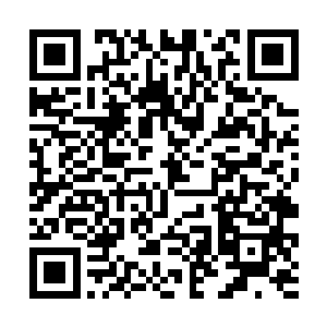 竟是把她二姐姐这股子最恐怖的劲儿给学到了三四成二维码生成