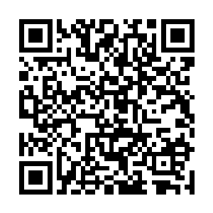 竟是无与伦比的危险感和猛然冲击弥漫开来的恐怖血色~二维码生成