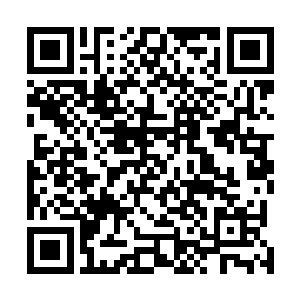 竟是有情绪一般透出深隐的忌惮和被当做食物的愤怒目光二维码生成