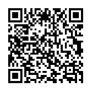 竟是没有过多长时间便是被彻底撕咬的没有任何气息二维码生成