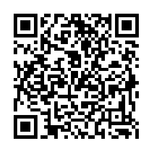 竟是真的倒拔起了一座足有数千丈高的巨型山峰二维码生成