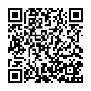 竟是等到了此时我体内格外亏虚的时候才会激发触动二维码生成