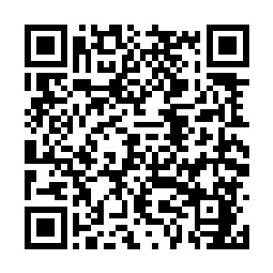 竟是结结实实的撞在了一面凭空出现的巨型墙壁上二维码生成