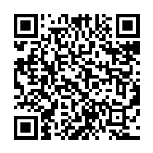 竟是被玉婉娘一个眼神再加石净斋一记掌击就打的倒地不起二维码生成