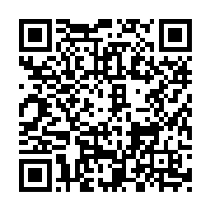 竟是被程浩宇这么一个大瓦数的电灯泡给抢了先二维码生成