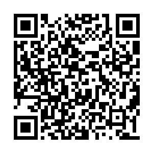 竟是足足耍了十几个高阶武宗整整两年半的时间二维码生成