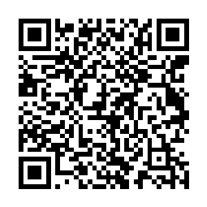 竟是那些在凤瑾元还在丞相之位时与之有过往来的大顺官员二维码生成