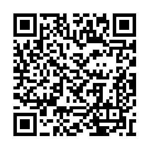 竟比烈焰神鸟族和诛仙群岛派来的武王强者还多二维码生成