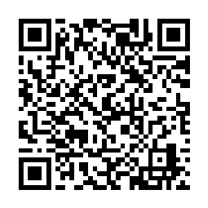 竟然也……不信邪的武者纷纷搭乘飞船前往两座查探二维码生成
