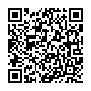 竟然也无法承载的凤凰老祖在这世界上继续停留二维码生成