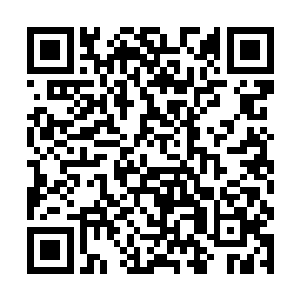 竟然也沒发现这三颗骰子是如何出现在何进鸣手中的二维码生成