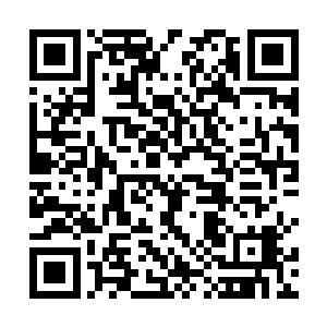 竟然以无可抵挡之势笼罩在整个飞虹苑方圆千米的范围二维码生成
