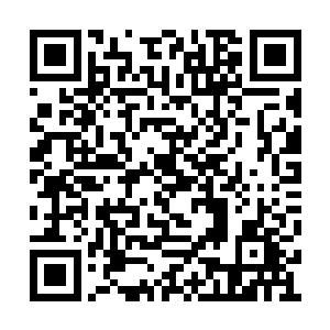 竟然以纳源境的实力就能施展出如此逆天的神通二维码生成