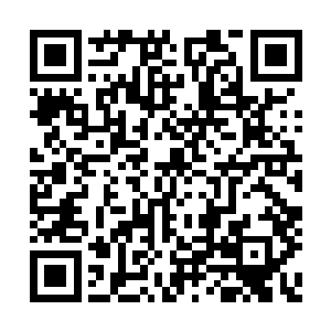 竟然仿佛都被某种可怕的力量给强行挡住了一样二维码生成