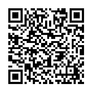 竟然会为了那个人类毫不犹豫地吞噬自己后裔的血脉和灵魂二维码生成